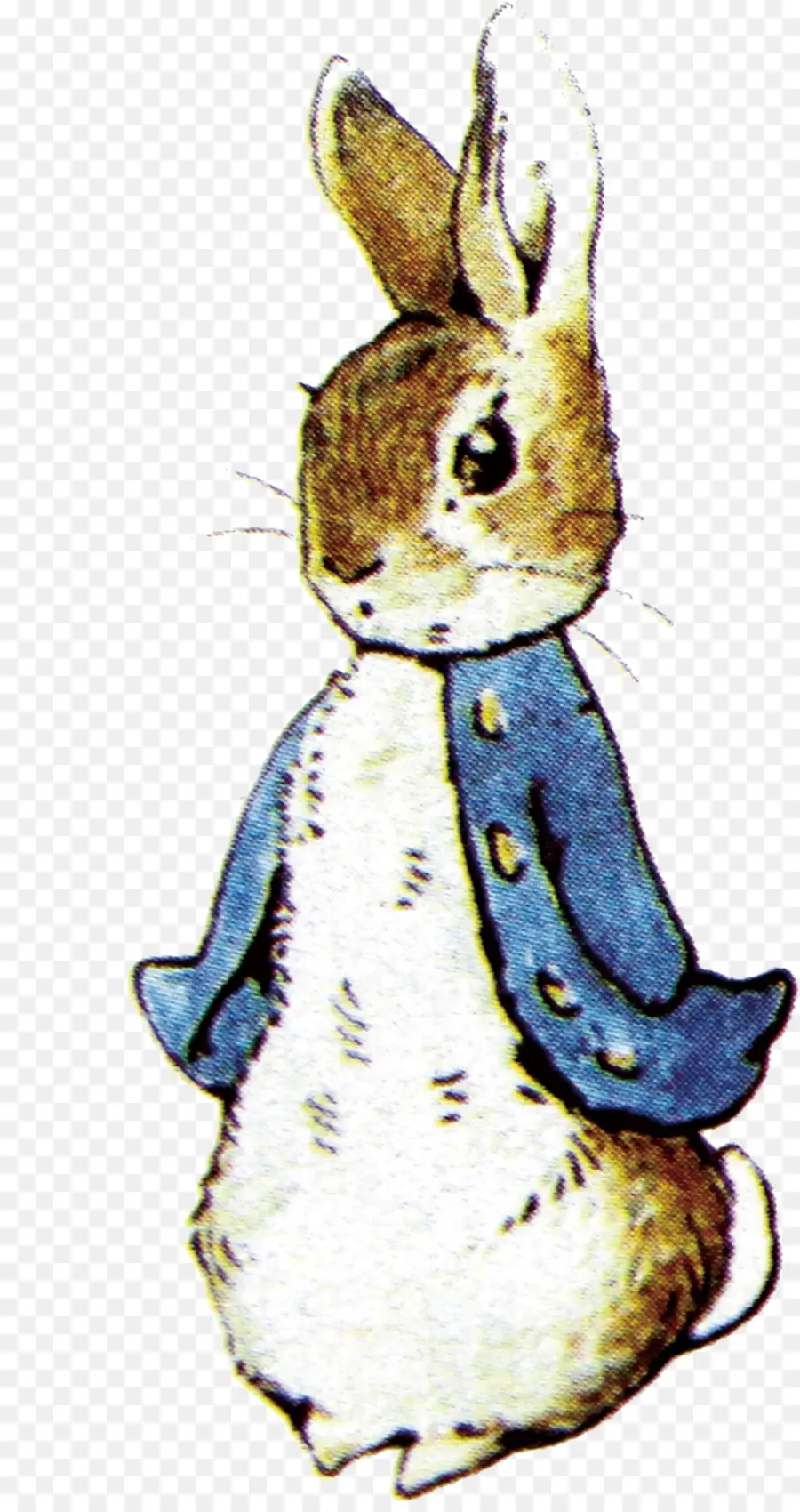 Peter Rabbit，Tale Of Peter Rabbit PNG