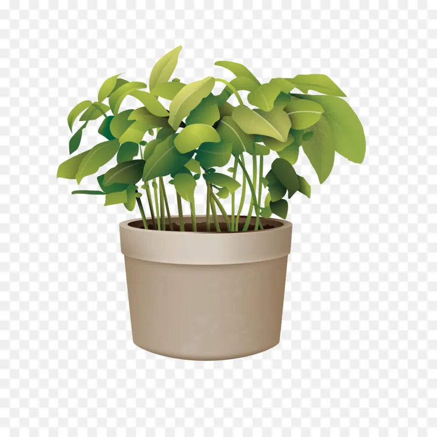 Flowerpot，Plante PNG