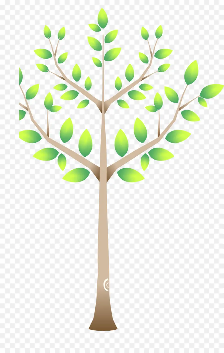 Arbre Vert，Feuilles PNG