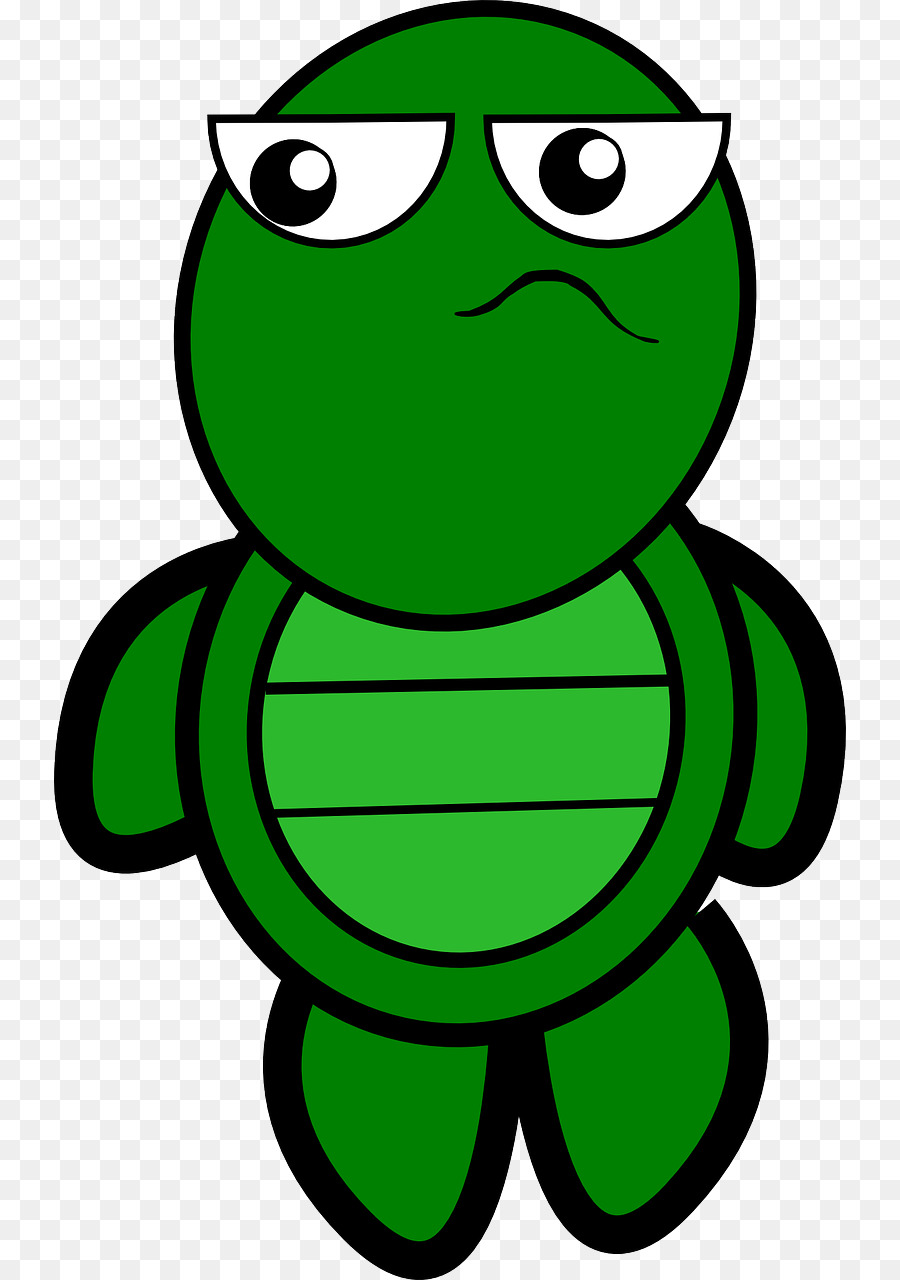 Tortue De Dessin Animé，Tortue PNG