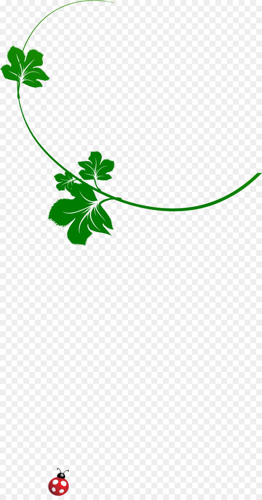 Vigne Verte，Feuille PNG