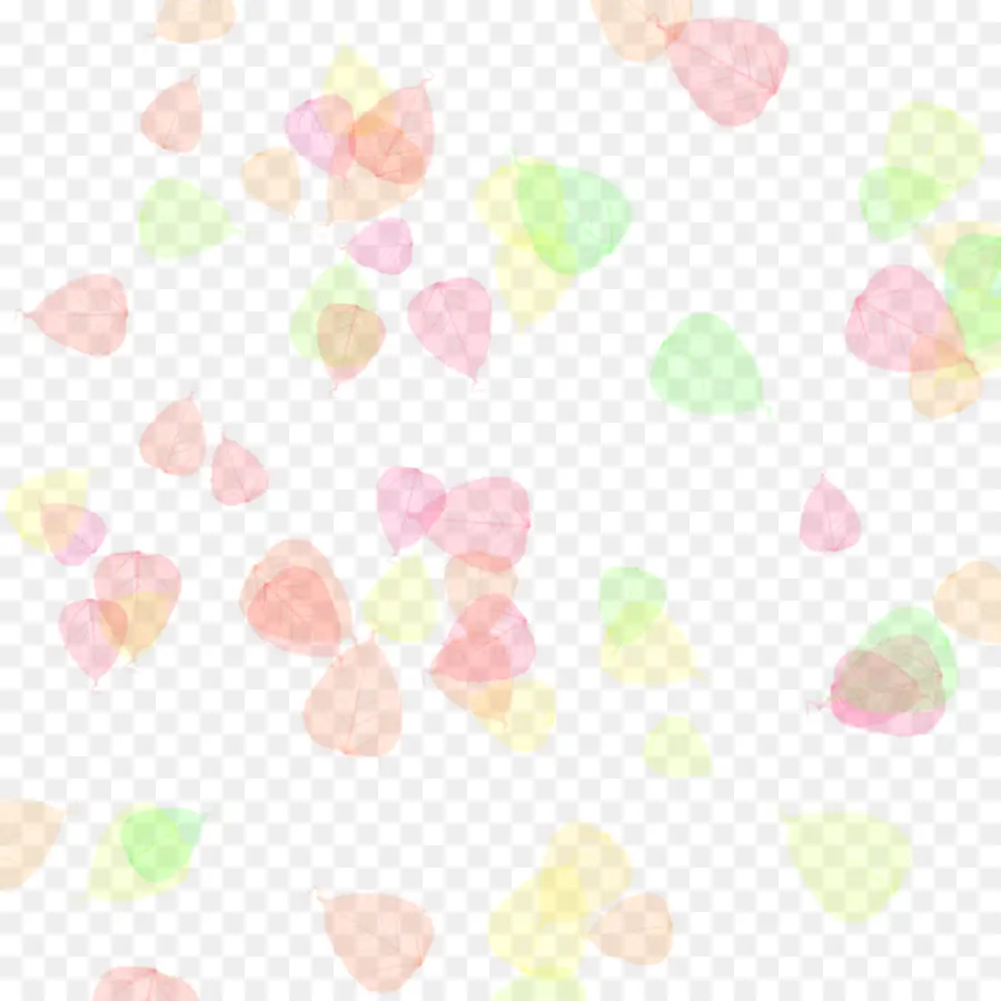 Pétales Colorés，Fleurs PNG