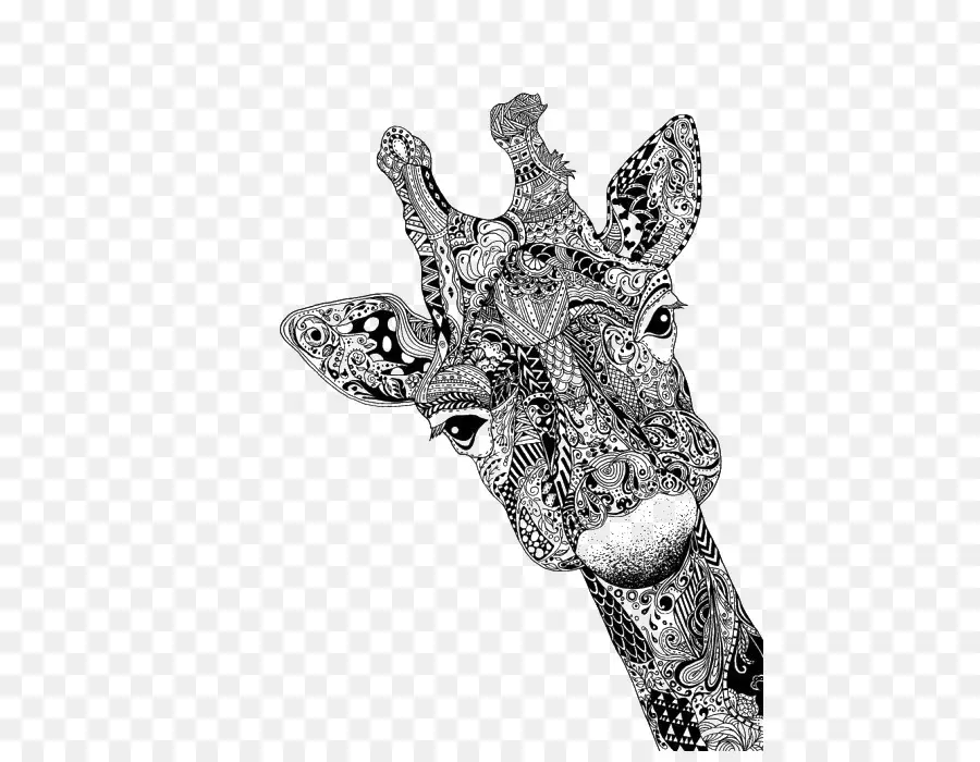 Cerf，Girafe PNG