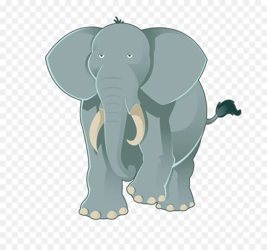 Éléphant，Mammifère PNG