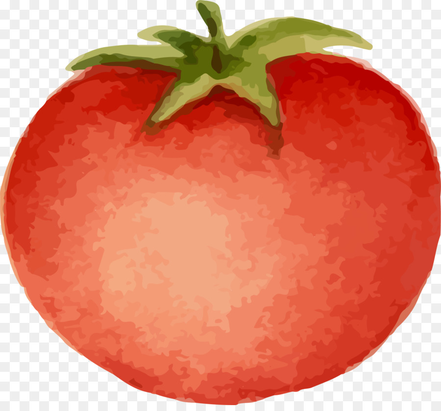 Tomate，Rouge PNG