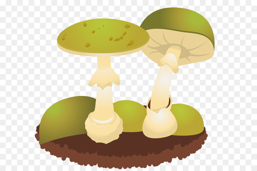 Champignons，Légume PNG