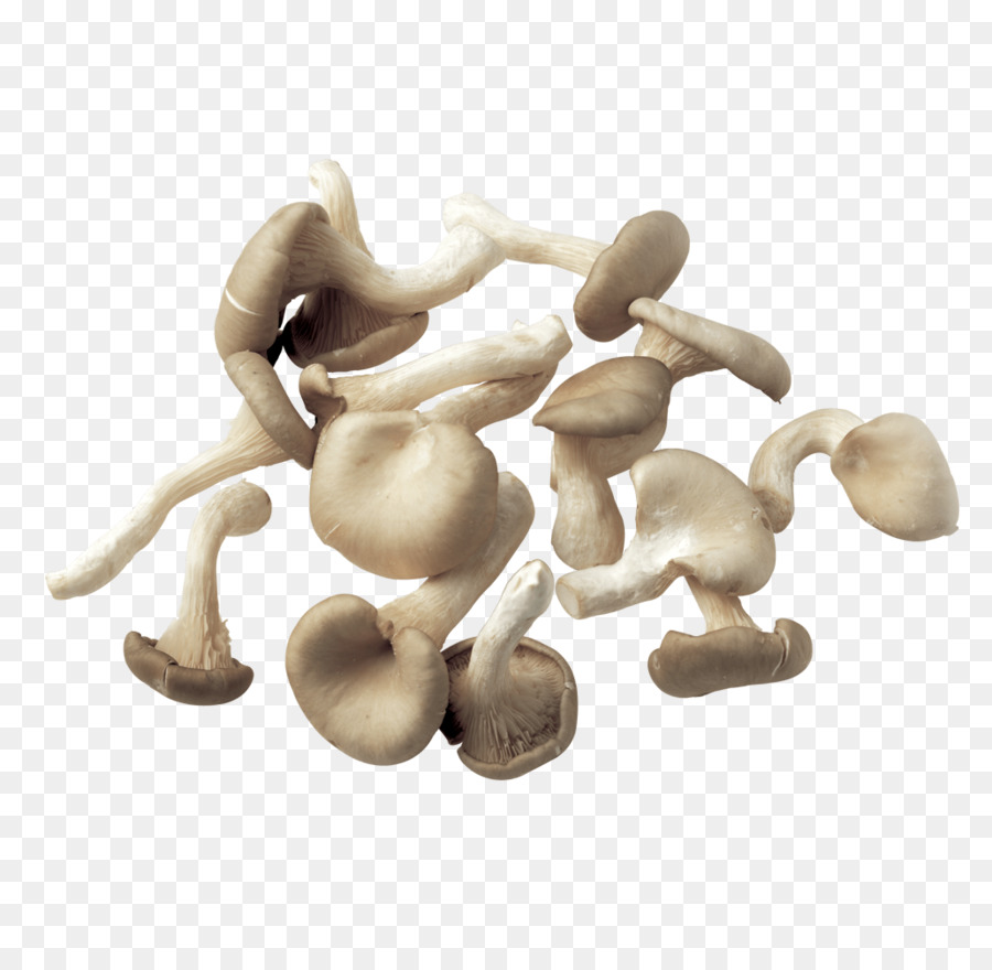 Champignon，Champignon Commun PNG