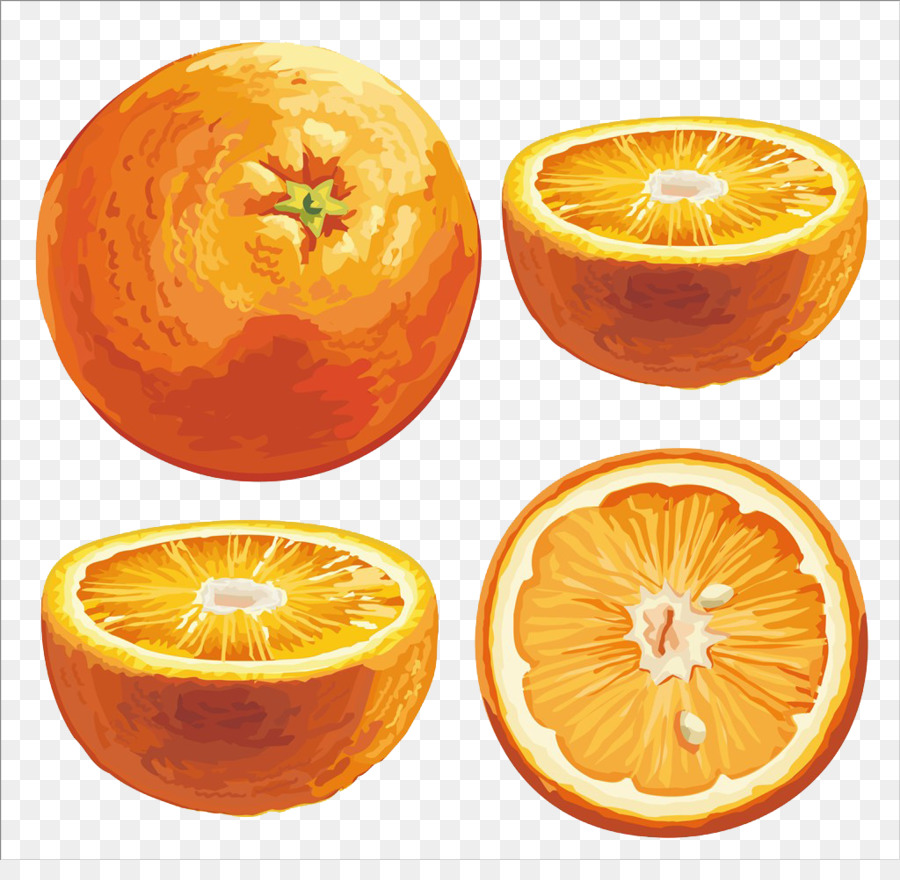 Orange，Agrumes Xd7 Sinensis PNG