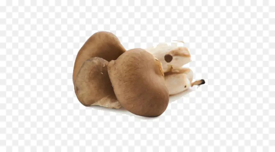 Champignons，Légume PNG