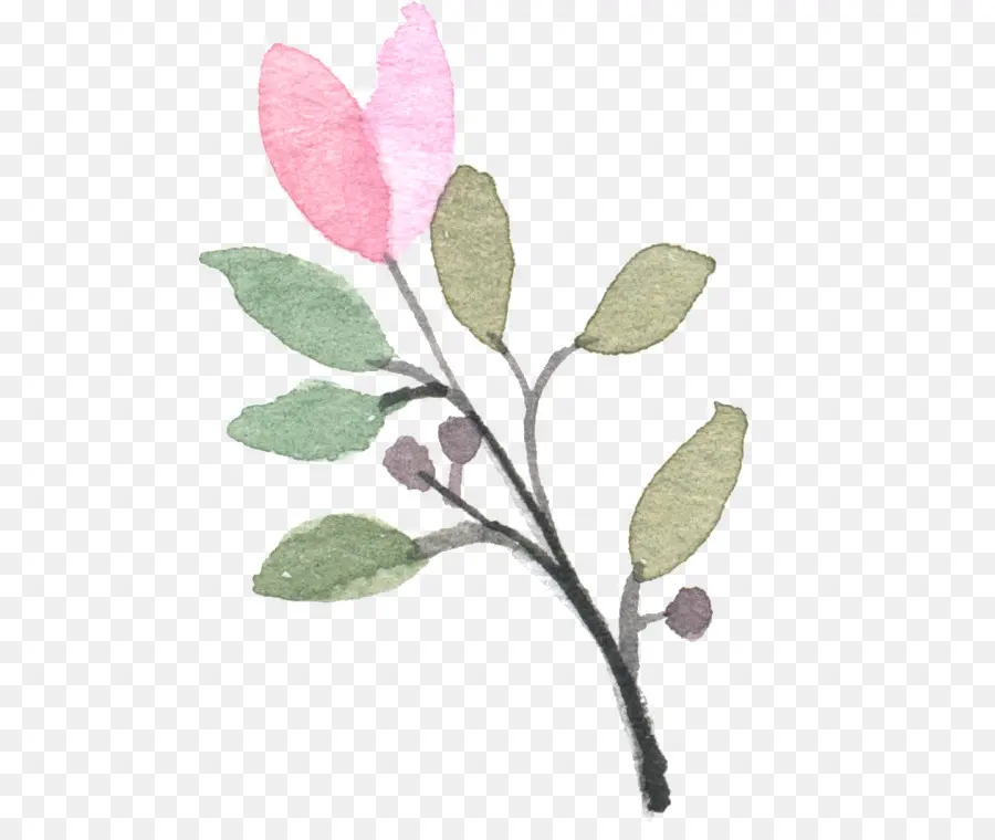 La Peinture à L'aquarelle，Rose PNG