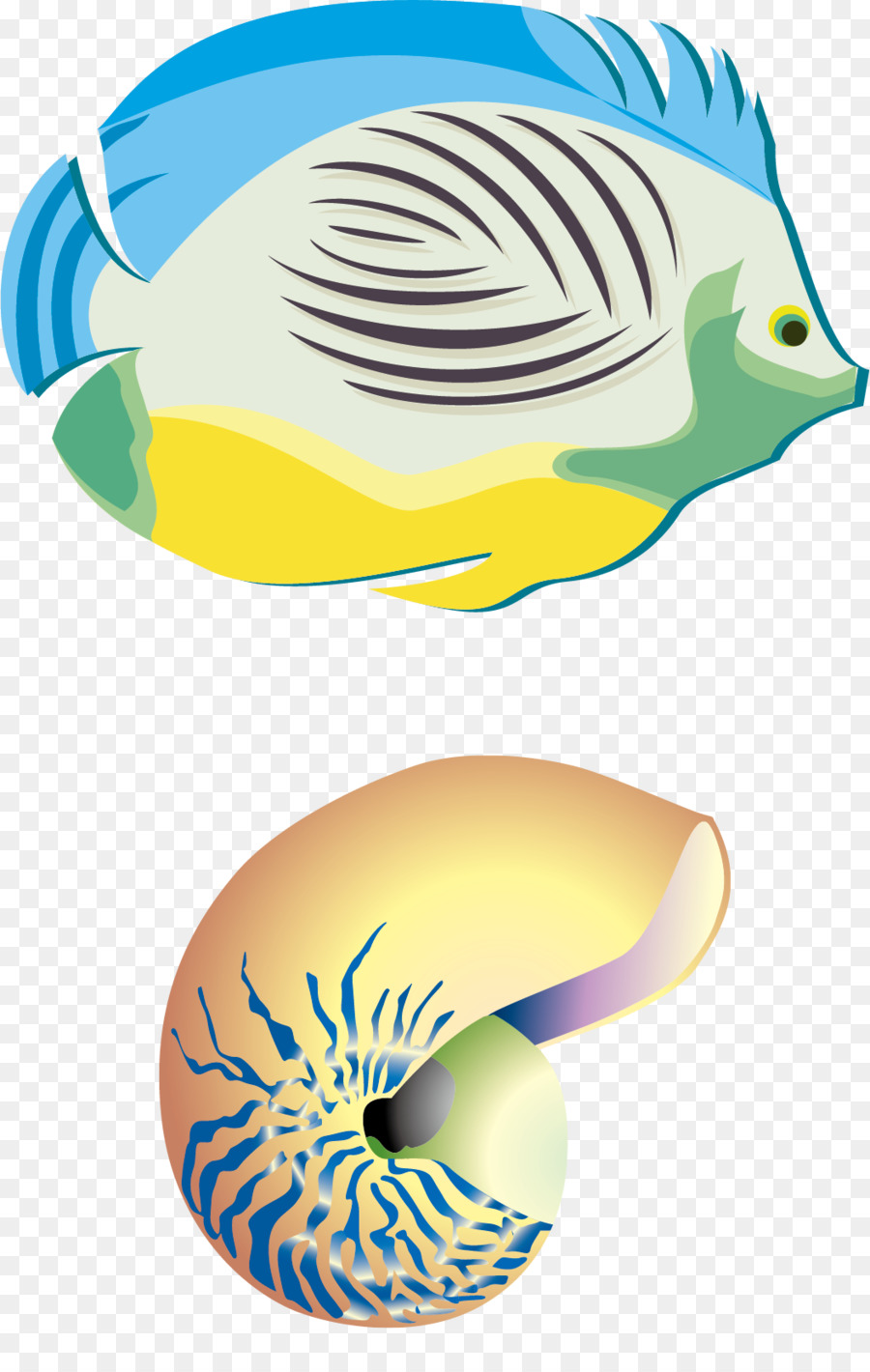 Poisson Et Coquillage，Aquatique PNG