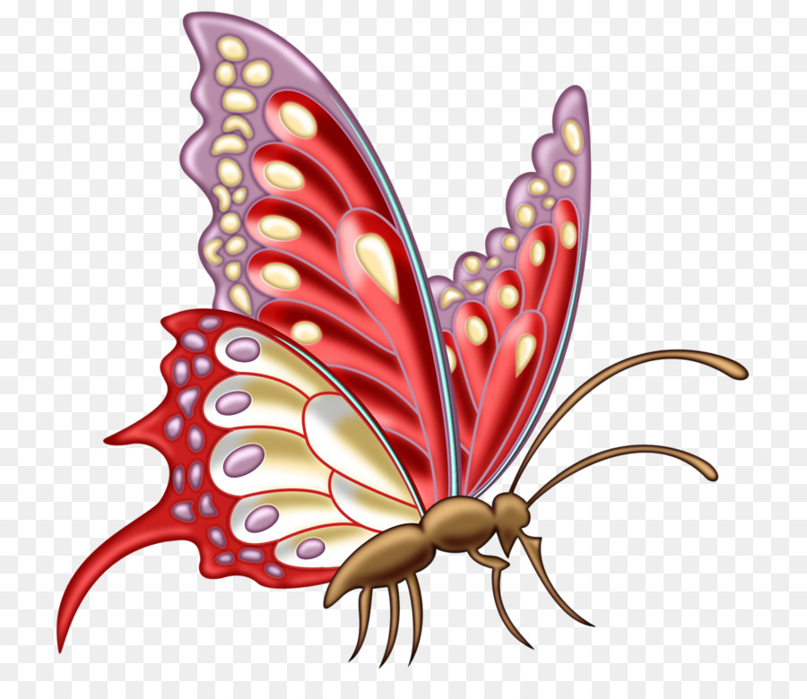 Papillon，Ailes PNG