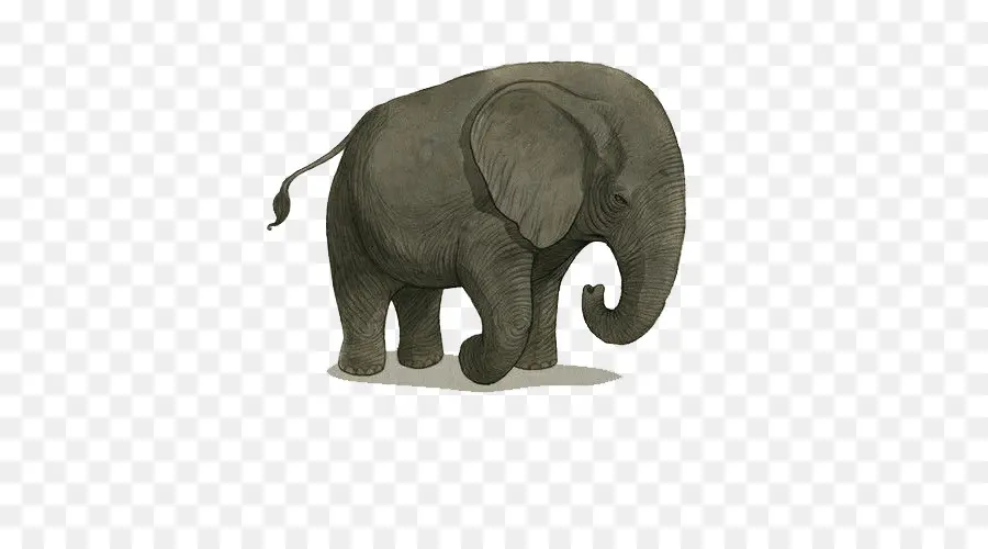 Éléphant，Défenses PNG