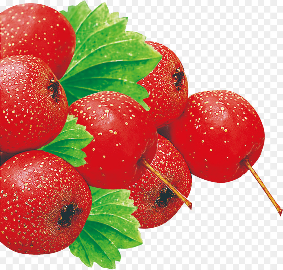 Fruits Rouges，Feuille PNG