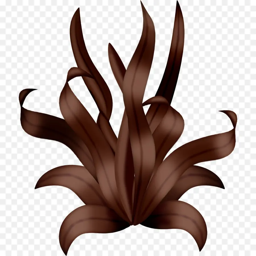 Plante Brune，Feuilles PNG