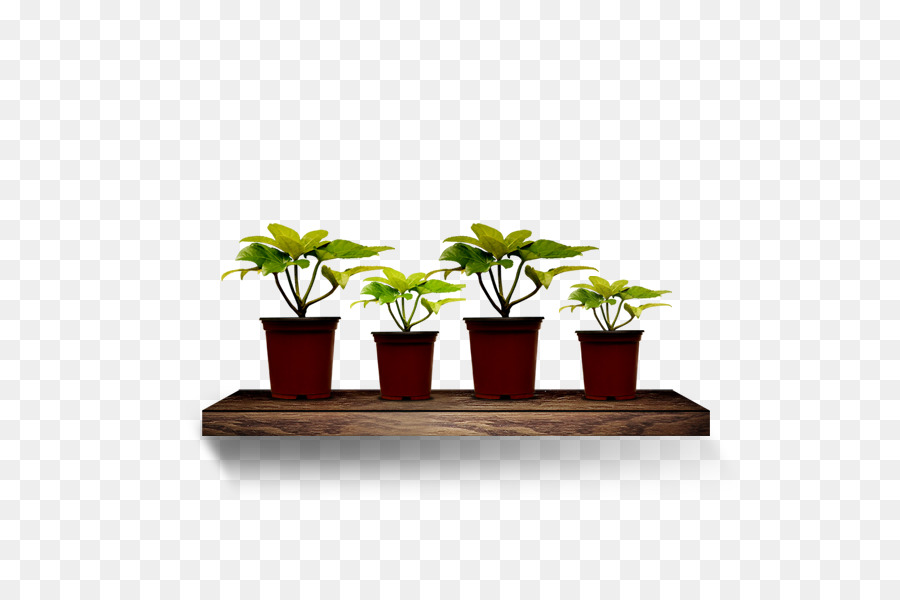 Plantes En Pot，Vert PNG