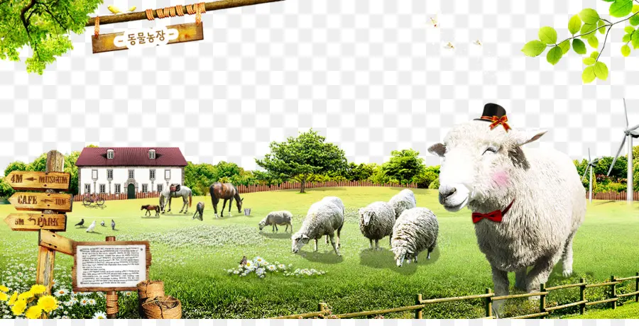 Animaux De La Ferme，Mouton PNG