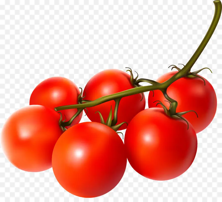 Tomate Cerise，Légumes PNG