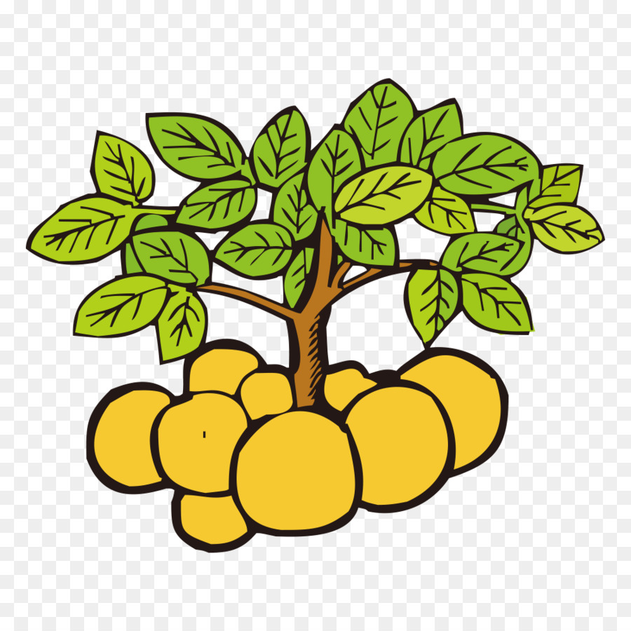 La Pomme De Terre，Dessin Animé PNG