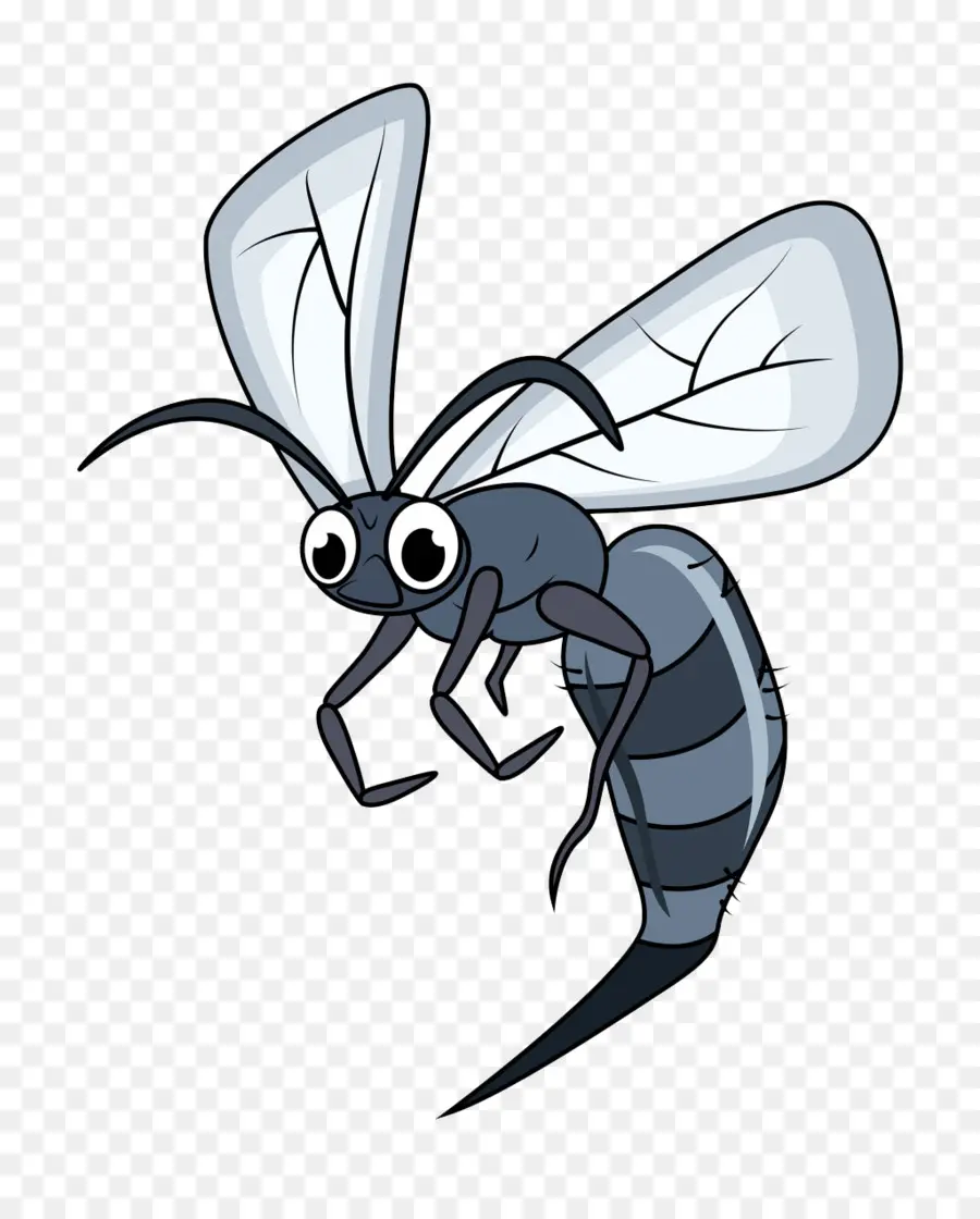 Insecte De Dessin Animé，Ailes PNG