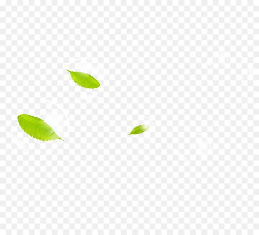 Feuilles Vertes，Feuillage PNG