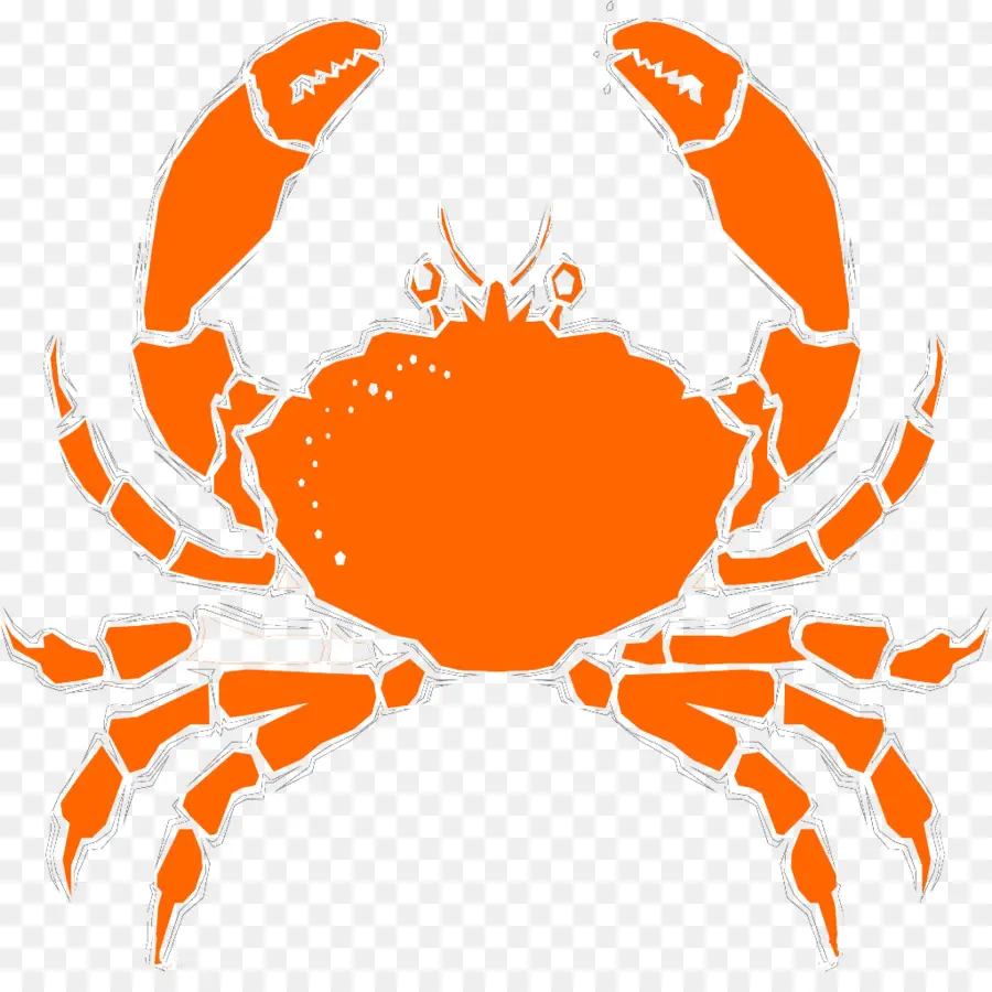 Crabe Orange，Mer PNG