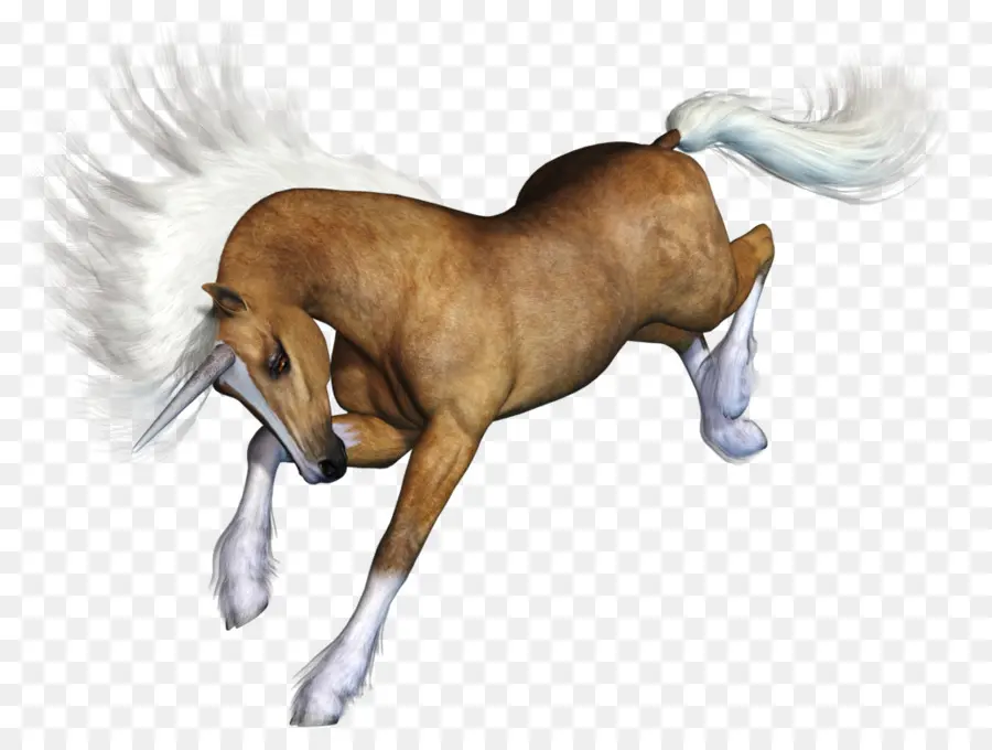 Cheval，En Cours D'exécution PNG