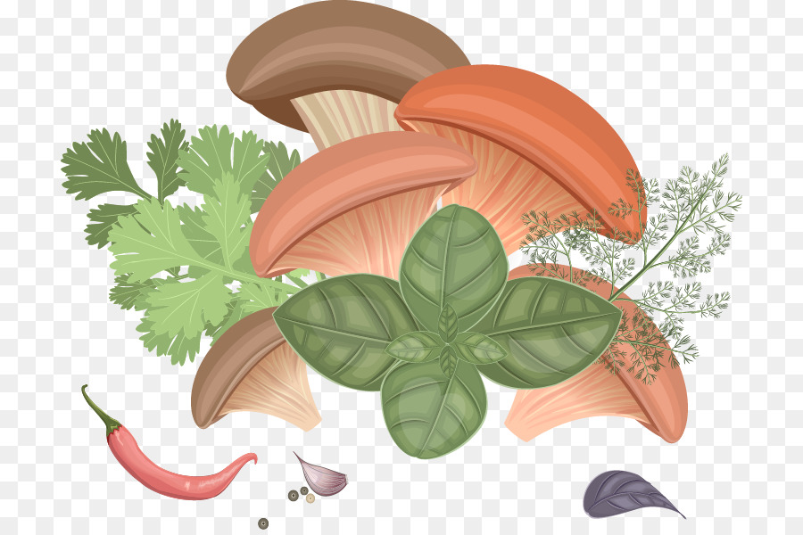 Champignons，Herbes PNG