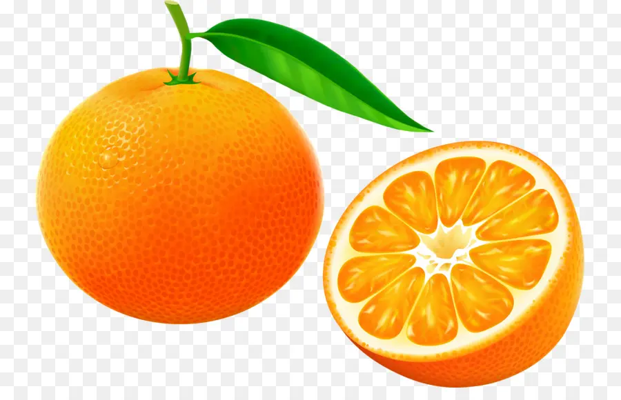 Tranche D'orange，Agrumes PNG