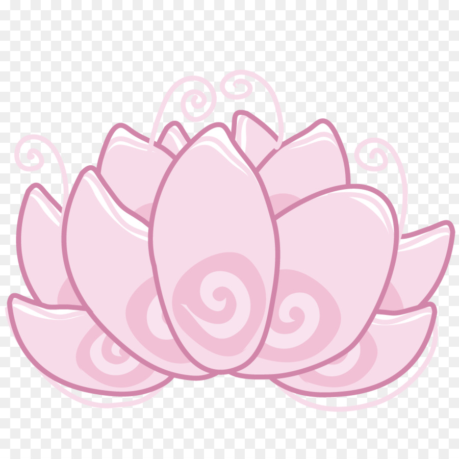 Lotus Rose，Floraison PNG