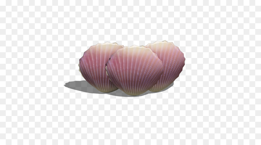 Violet，Coquille PNG