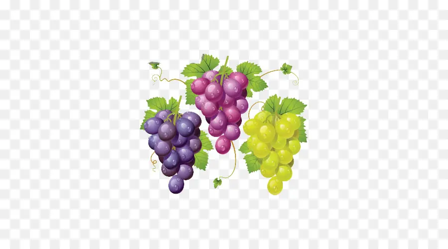 Raisins，Bouquet PNG