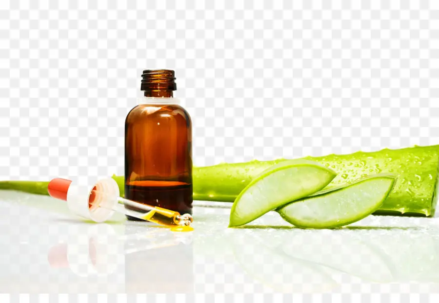 Aloe Vera Et Bouteille，Aloé Véra PNG