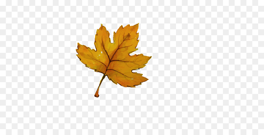 Feuilles D'automne，Automne PNG