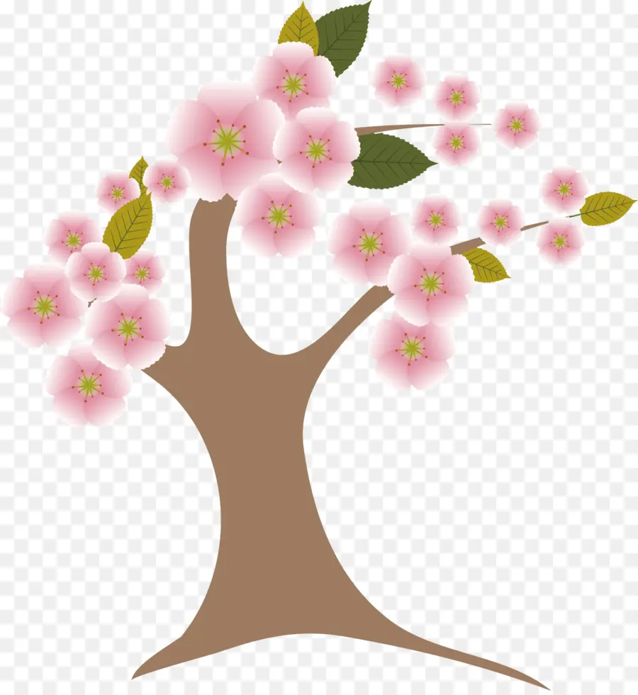 Fleur De Cerisier，Arbre PNG