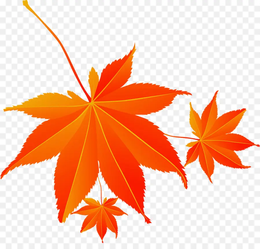 Feuilles，Rouge PNG