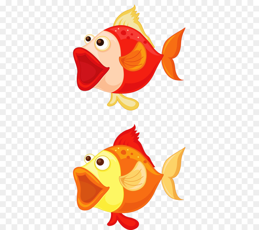 Poisson Coloré，Aquatique PNG