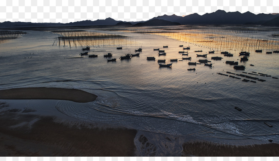 Bateaux De Pêche，Mer PNG