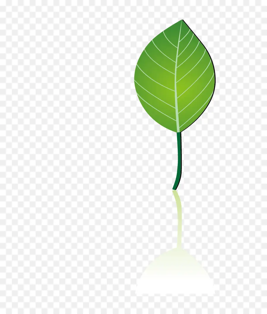 Feuille Verte，Usine PNG