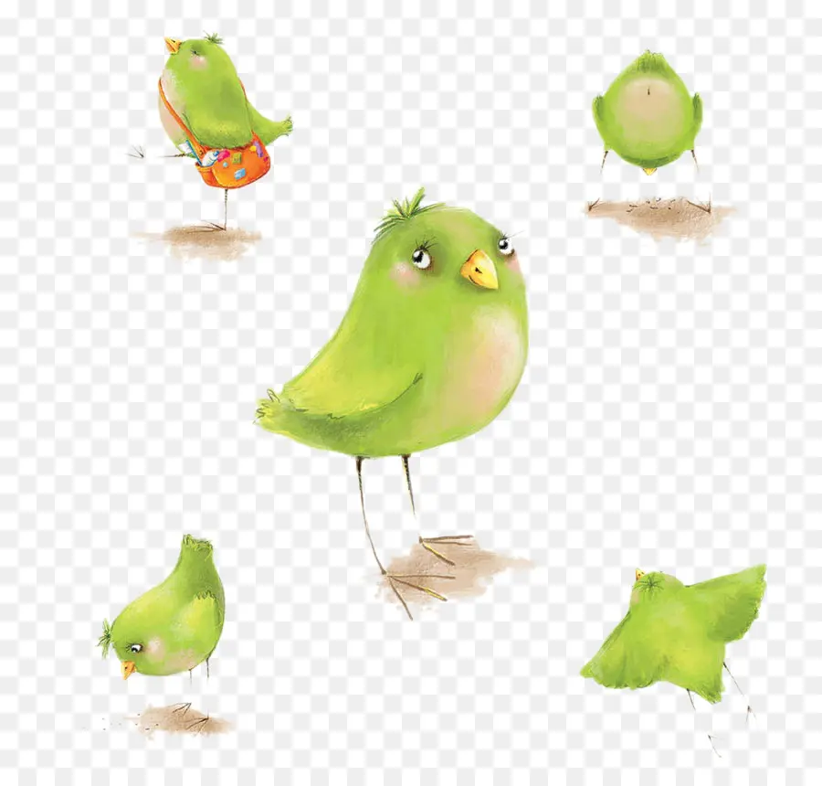 Oiseaux Verts，Dessin Animé PNG