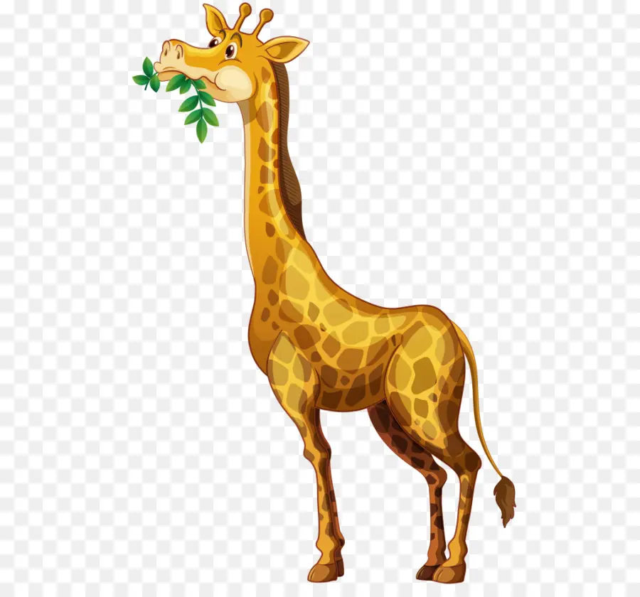 Girafe，Manger PNG