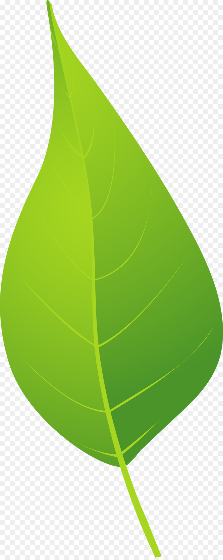 Feuille Verte，Usine PNG