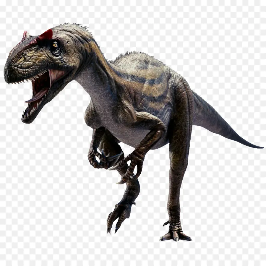 Allosaurus，Le Tyrannosaure PNG
