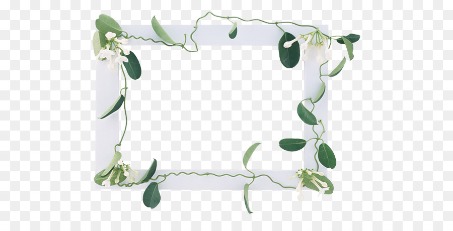 Cadre Floral，Fleurs PNG