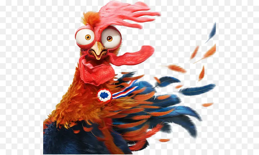 Coq，Plumes PNG