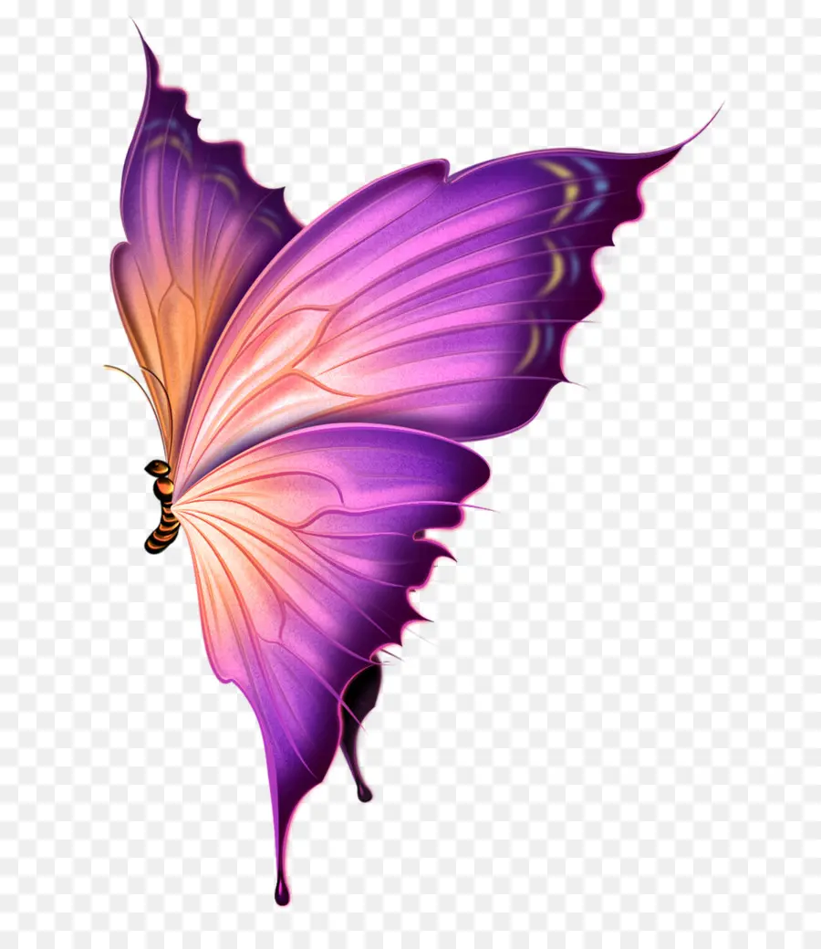 Papillon，Violet PNG