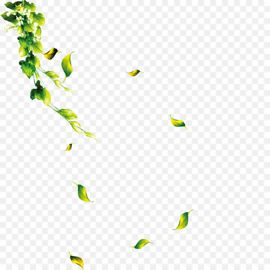 Feuilles，Vert PNG