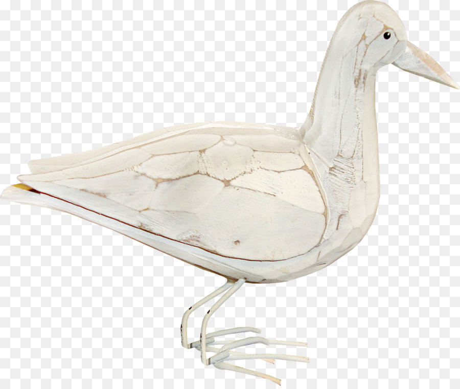 Canard，Pekin Américain PNG