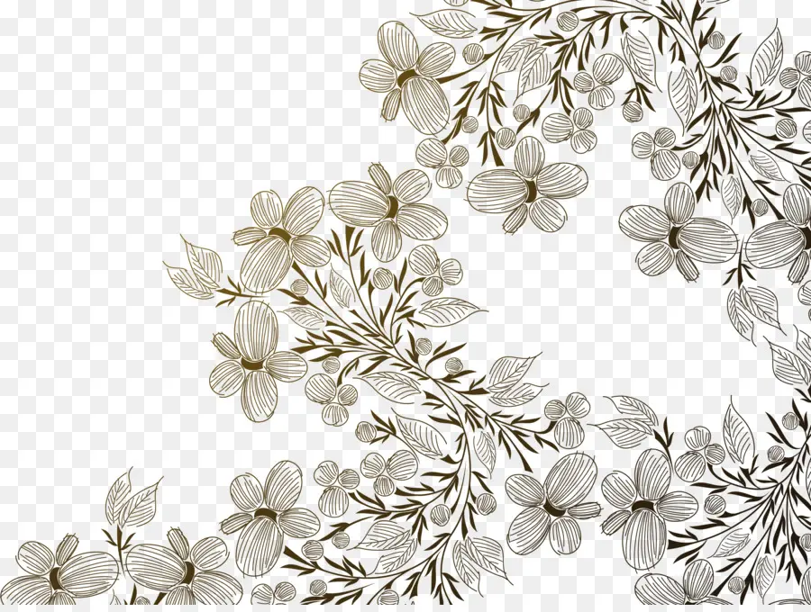 Motif Floral，Fleurs PNG