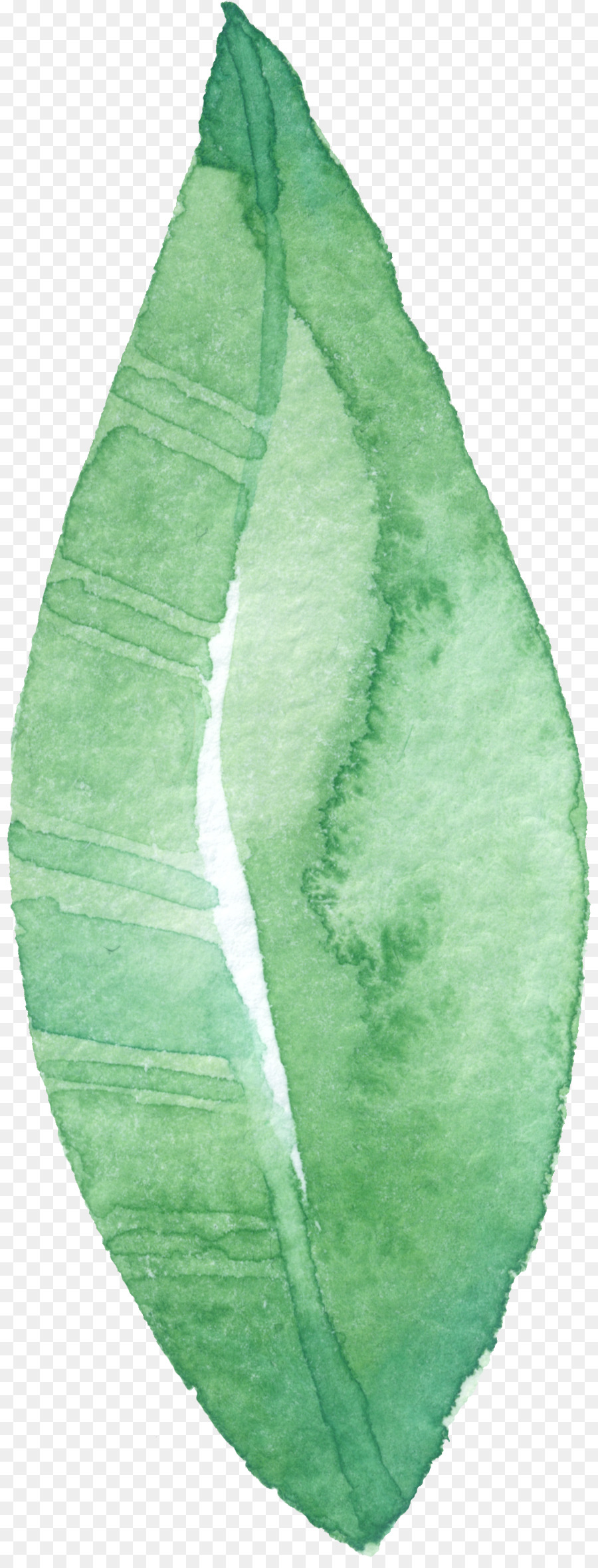 Feuille，Vert PNG